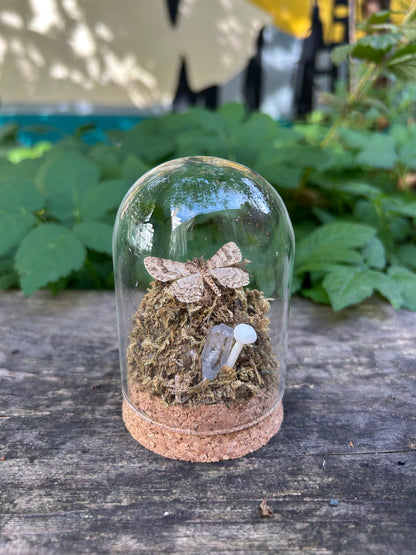 Geometer Moth in Decorative Dome